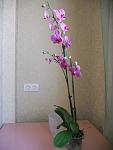     
: DSCN3345.jpg
: 23
:	70.0 
ID:	4865093
