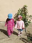     
: IMG_9252.jpg
: 13
:	127.7 
ID:	4866415
