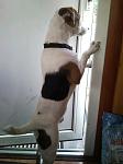    
: y_1e4aa7a9.jpg
: 3
:	70.7 
ID:	4872191