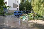     
: DSC_0491.jpg
: 21
:	222.2 
ID:	4873353