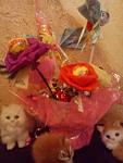     
: DSC00331.jpg
: 15
:	67.0 
ID:	4875727