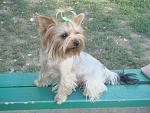    
: DSC00311.jpg
: 3
:	142.3 
ID:	4876707