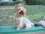    
: DSC00317.jpg
: 5
:	201.4 
ID:	4876708