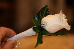     
: IMG_6937.jpg
: 1
:	51.4 
ID:	4878193