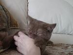     
: 3.JPG
: 10
:	30.8 
ID:	4887899