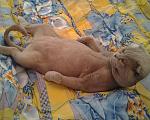     
: 20120701_153700-1.jpg
: 4
:	153.6 
ID:	4888221