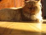    
: IMG_0152.jpg
: 17
:	124.5 
ID:	488909