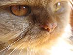     
: IMG_0159.jpg
: 11
:	119.2 
ID:	488914