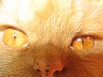     
: IMG_0160.jpg
: 10
:	126.2 
ID:	488915