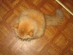     
: IMG_0165.jpg
: 12
:	120.7 
ID:	488917
