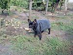     
: 22092012164.jpg
: 28
:	247.5 
ID:	4889795