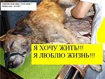     
: _ebSR2yGnYU.jpg
: 66
:	118.7 
ID:	4890139