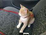     
: 23092012311.jpg
: 11
:	211.5 
ID:	4891888