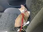     
: 23092012309.jpg
: 11
:	169.3 
ID:	4891890