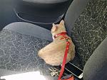     
: 23092012308.jpg
: 9
:	183.9 
ID:	4891891
