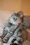     
: IMG_0287.jpg
: 4
:	75.8 
ID:	4892103