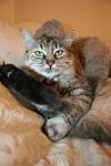     
: IMG_0291.jpg
: 2
:	72.3 
ID:	4892104