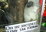     
: A3Dubibq9os.jpg
: 7
:	66.3 
ID:	4892108