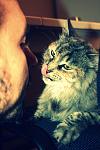     
: IMG_0263.jpg
: 6
:	83.8 
ID:	4892133
