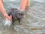     
: IMG_0617.jpg
: 8
:	165.7 
ID:	4894235