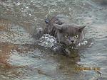     
: IMG_0621.jpg
: 11
:	160.8 
ID:	4894238