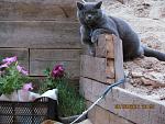     
: IMG_0608.jpg
: 4
:	176.2 
ID:	4894240