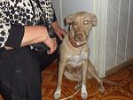     
: SAM_2850.jpg
: 25
:	104.9 
ID:	4894958