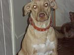     
: SAM_2846.jpg
: 32
:	95.9 
ID:	4894959