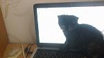    
: 24092012032.jpg
: 8
:	63.0 
ID:	4895733