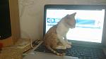     
: 24092012026.jpg
: 6
:	81.8 
ID:	4895736