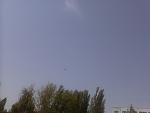     
: IMG090.jpg
: 13
:	57.2 
ID:	4896715