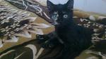     
: 24092012038.jpg
: 7
:	114.6 
ID:	4896919
