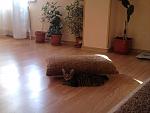     
: Фото0076.jpg
: 23
:	104.7 
ID:	4898338
