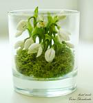     
: DSC_4424.jpg
: 8
:	123.8 
ID:	4898641