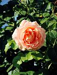     
: DSC07800.jpg
: 13
:	98.0 
ID:	490862