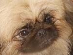     
: DSCN1241.jpg
: 7
:	102.7 
ID:	4910841