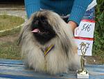     
: DSCN1284.jpg
: 18
:	122.5 
ID:	4910946