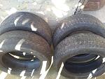     
: 20120926_090642.jpg
: 12
:	179.6 
ID:	4913128