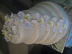     
: IMG_3430.jpg
: 14
:	121.4 
ID:	4915890