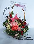     
: IMG_3127.jpg
: 8
:	89.2 
ID:	4920687