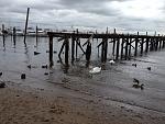    
: september2012 257.jpg
: 28
:	183.4 
ID:	4921070