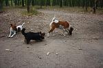     
: IMG_2190.jpg
: 6
:	185.2 
ID:	4922326
