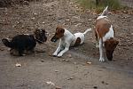     
: IMG_2188.jpg
: 7
:	164.0 
ID:	4922327