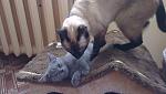     
: 2012-09-29 13.23.19.jpg
: 26
:	97.0 
ID:	4924105
