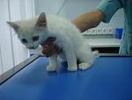     
: DSC07768.jpg
: 5
:	61.6 
ID:	4925492