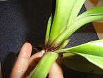     
: DSC05040.jpg
: 12
:	95.8 
ID:	4926847