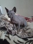     
: 20121001_085839.jpg
: 26
:	74.9 
ID:	4927008