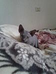     
: 20121001_085805.jpg
: 19
:	70.4 
ID:	4927009