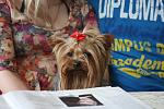     
: IMG_3771.jpg
: 8
:	107.1 
ID:	4929717