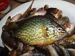     
: DSC06249.jpg
: 68
:	142.5 
ID:	4930829